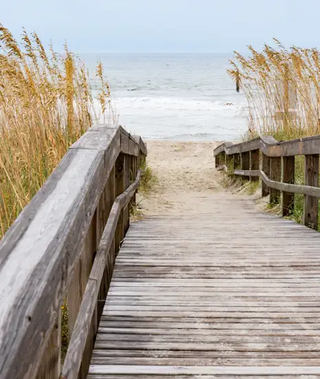 Hilton Head Shuttle Gallery