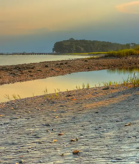 Hilton Head Shuttle Gallery